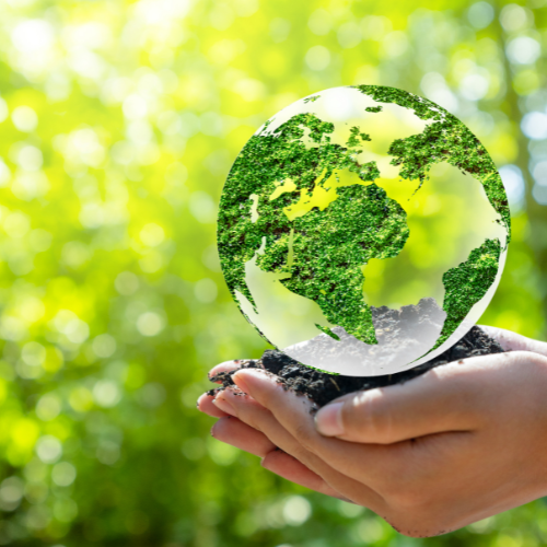 agencia de marketing sustentable